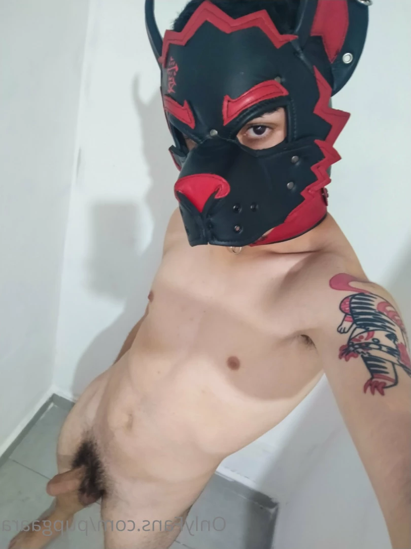 Pup Gaara [ pupgaara ] Onlyfans leaked photo 6825149 on Hotleaks.tv