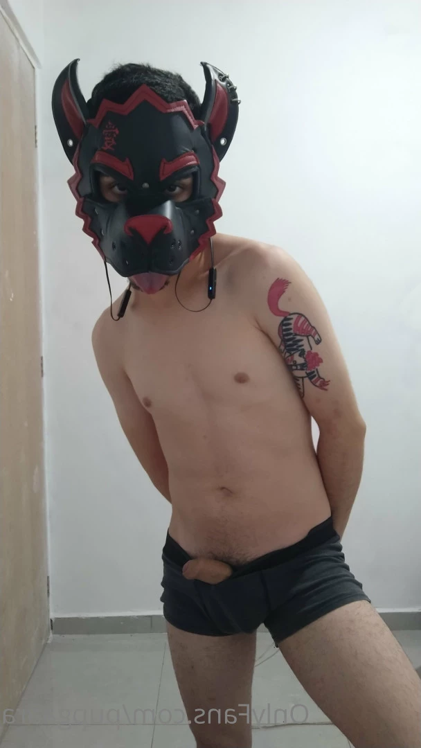 Pup Gaara [ pupgaara ] Onlyfans leaked photo 6825252 on Hotleaks.tv