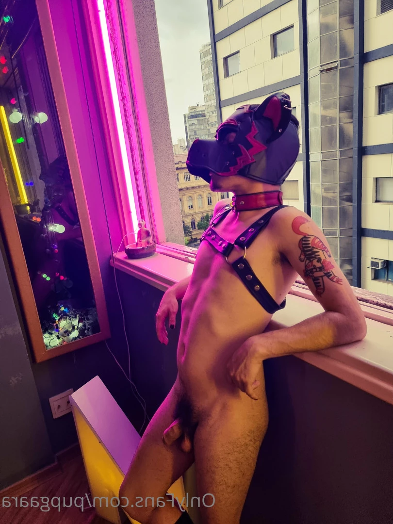 Pup Gaara [ pupgaara ] Onlyfans leaked photo 6825498 on Hotleaks.tv