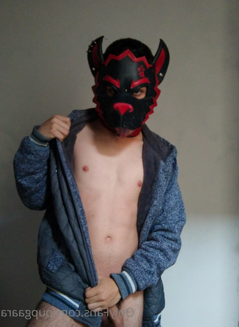Pup Gaara [ pupgaara ] Onlyfans leaked photo 6825648 on Hotleaks.tv
