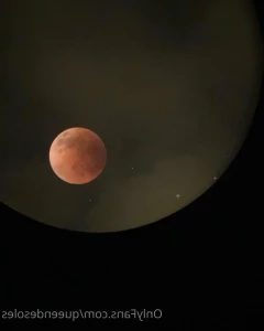 6970204