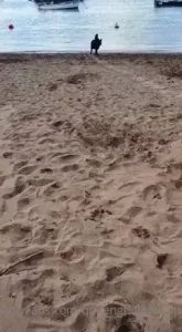 The Foot Queen of England [ queengf90premium ] Onlyfans leaked video 7027999 on Hotleaks.tv