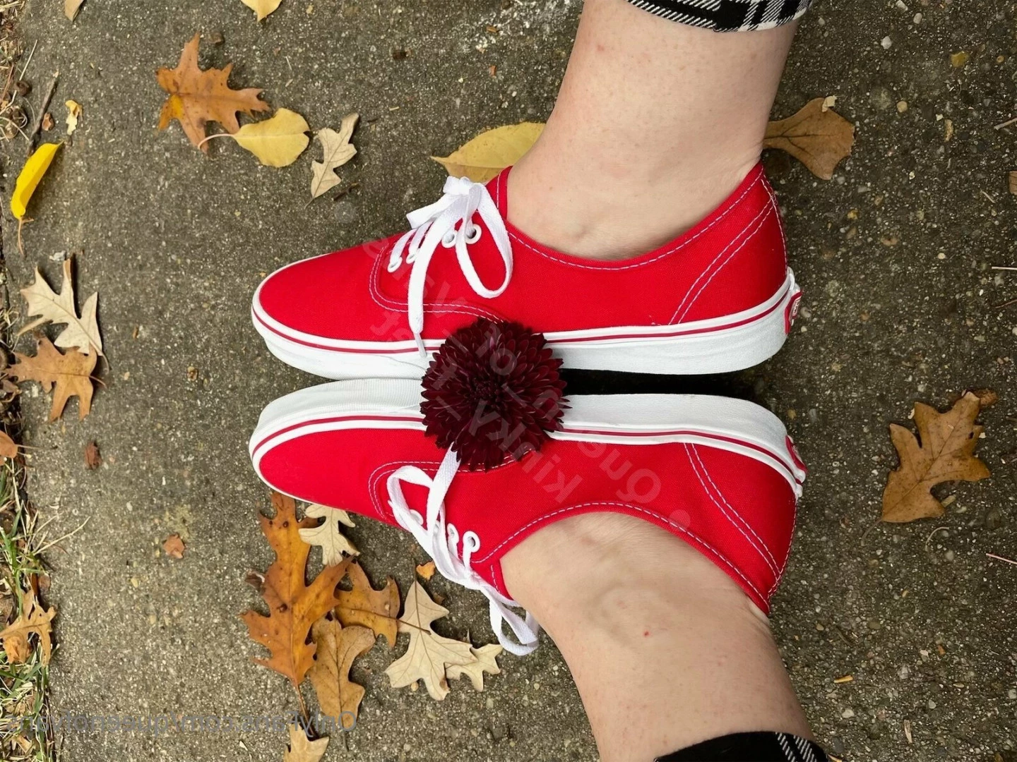 Queen_of_Vans [ queenofvans ] Onlyfans leaked photo 7291462 on Hotleaks.tv