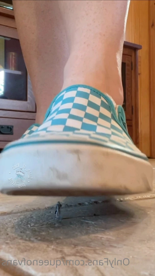 Queen_of_Vans [ queenofvans ] Onlyfans leaked photo 7293274 on Hotleaks.tv