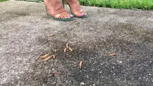 queensizesexyfeet Onlyfans leaked video 7014776 on Hotleaks.tv