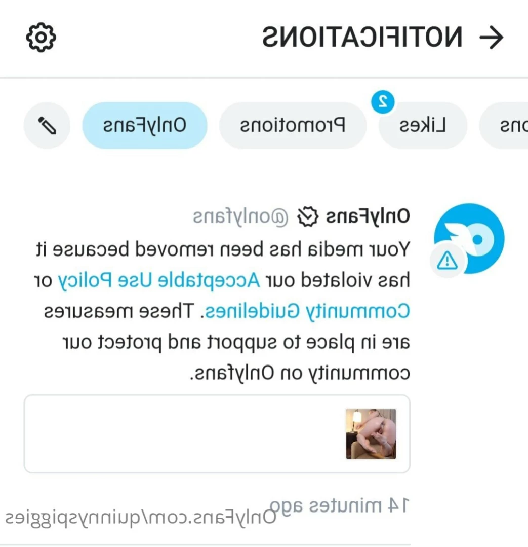 quinnyspiggies Onlyfans leaked photo 11062822 on Hotleaks.tv
