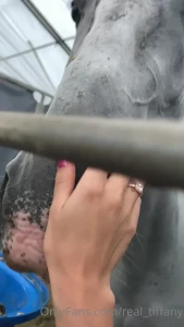 🦄Tiffany Tatum🦄 [ real_tiffany ] Onlyfans leaked video 7008050 on Hotleaks.tv