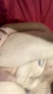 Roberta Cortes TS [ robertacortes ] Onlyfans leaked video 6977150 on Hotleaks.tv