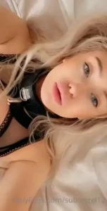 18248742