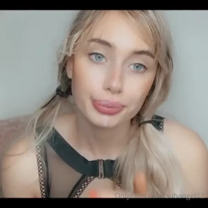 18248771