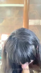 18248618
