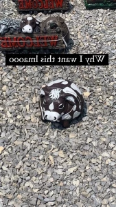 6674787