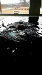 SecretSaria [ secretsecretsaria ] Onlyfans leaked video 6920023 on Hotleaks.tv
