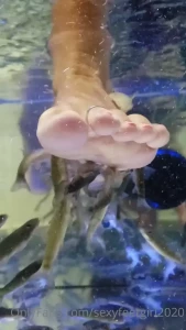 TYLERGIRL20 [ sexyfeetgirl2020 ] Onlyfans leaked video 6911756 on Hotleaks.tv