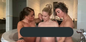 16136673