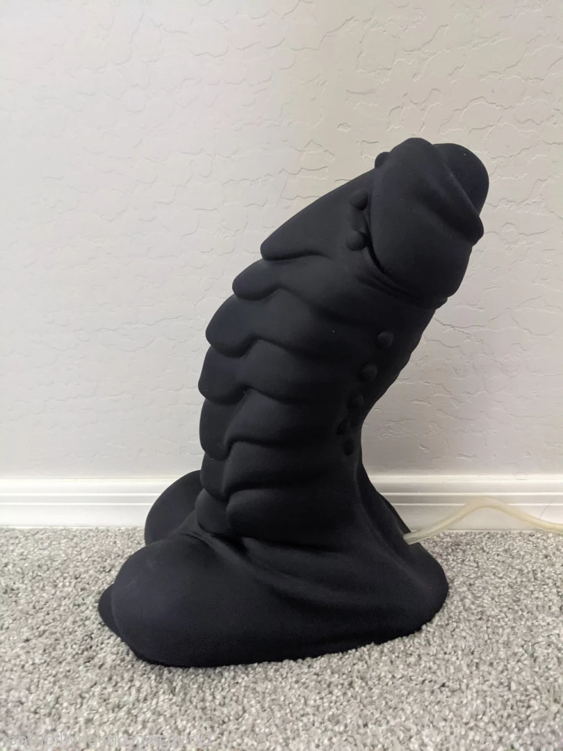 Shy Flintrider [ shyflintrider ] Onlyfans leaked photo 7030658 on Hotleaks.tv