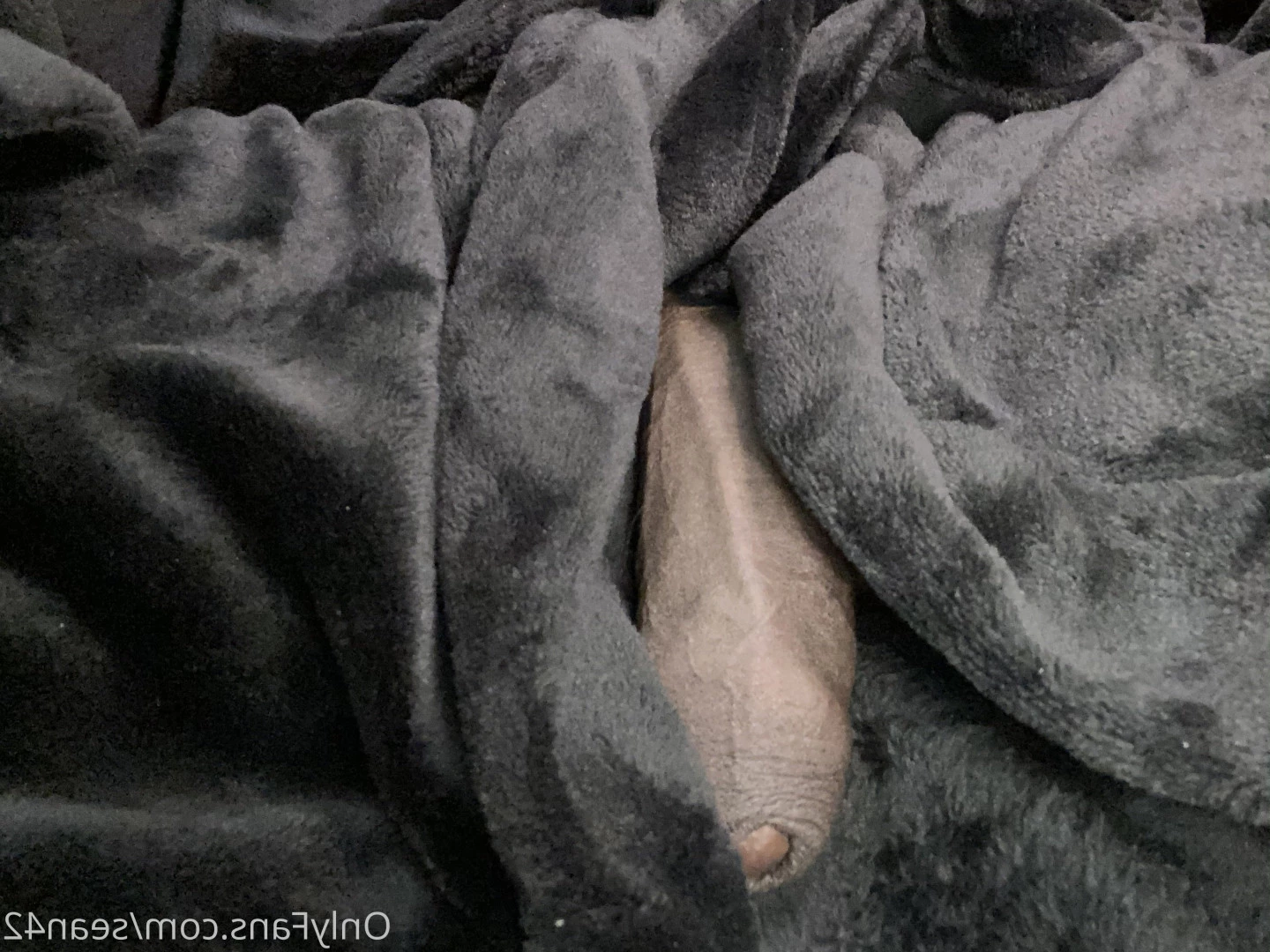 sminc42 Onlyfans leaked photo 6602282 on Hotleaks.tv