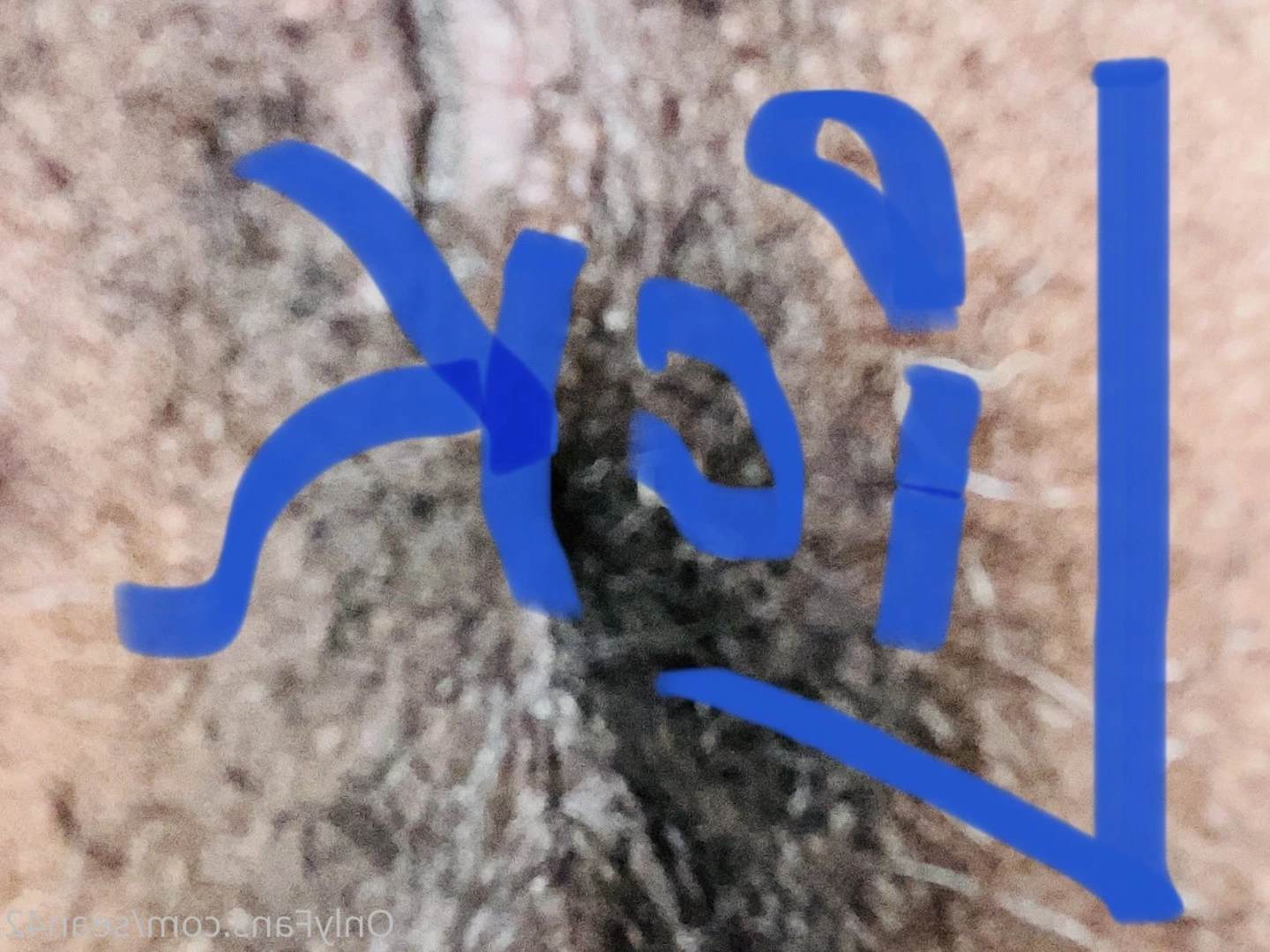 sminc42 Onlyfans leaked photo 6608709 on Hotleaks.tv