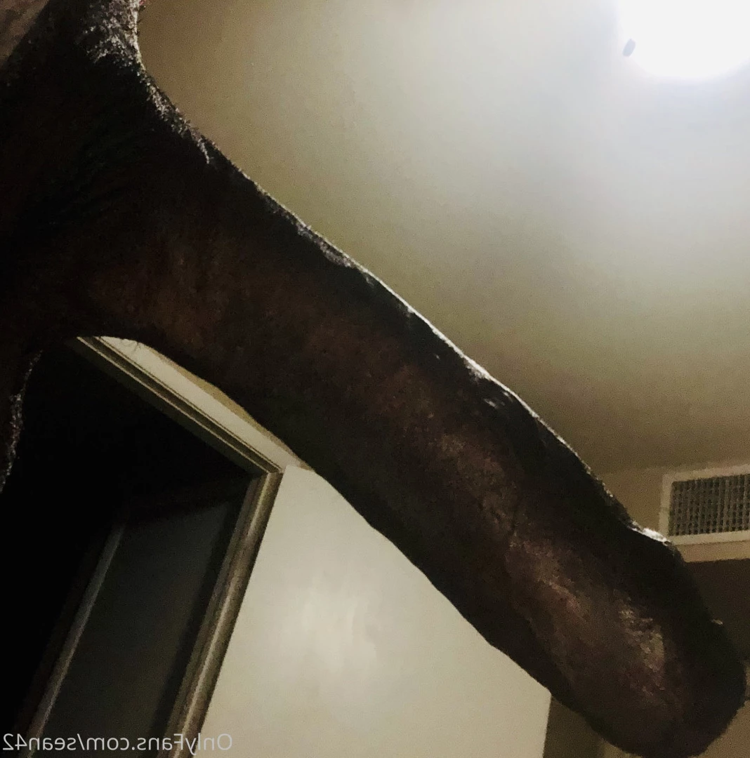 sminc42 Onlyfans leaked photo 6611116 on Hotleaks.tv