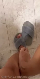 18247534