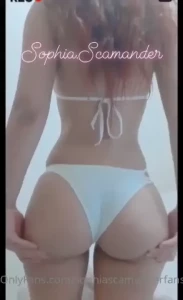 18247491
