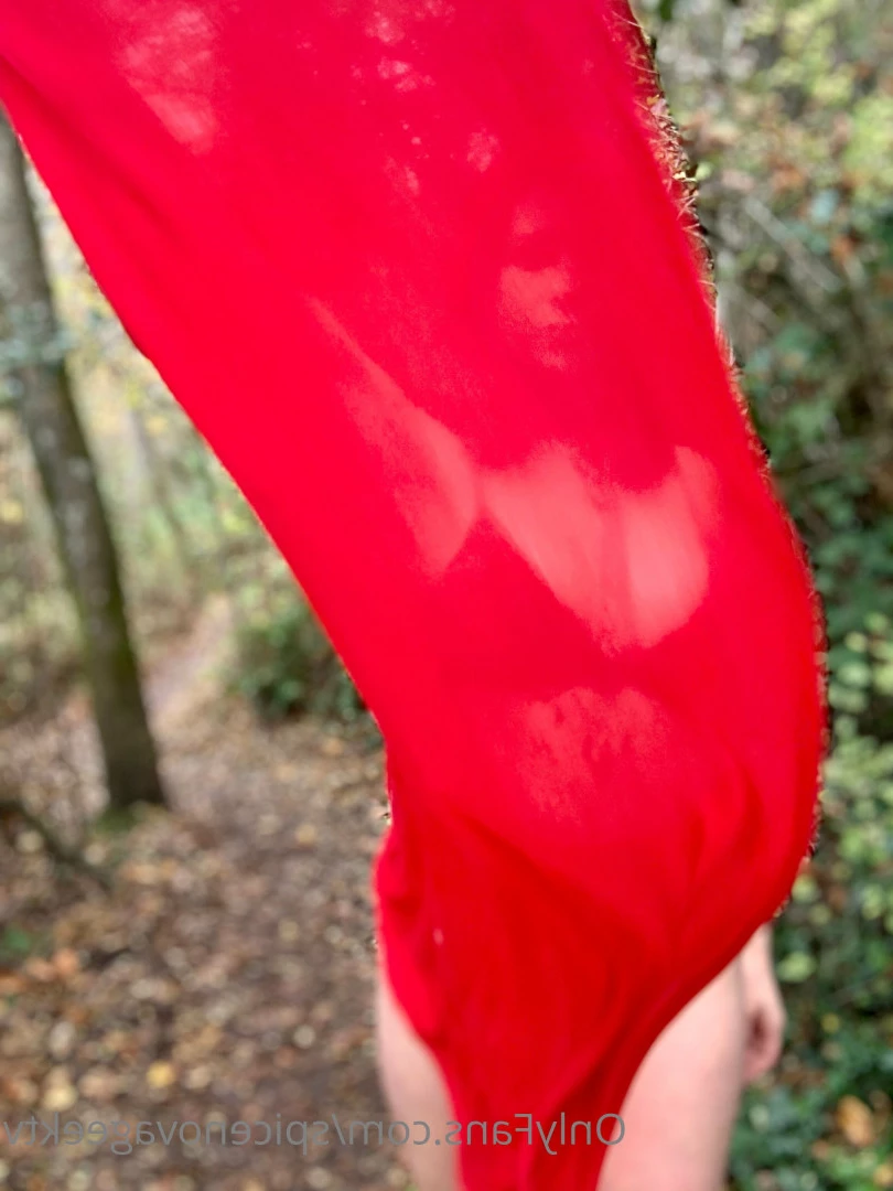 SpiceNova [ spicenovageektv ] Onlyfans leaked photo 9283022 on Hotleaks.tv