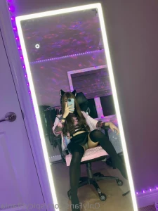 14697006