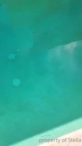 Stella Aeternum [ stellaaeternum ] Onlyfans leaked video 18247251 on Hotleaks.tv