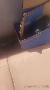 Stella Aeternum [ stellaaeternum ] Onlyfans leaked video 18247260 on Hotleaks.tv