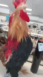 Stella Aeternum [ stellaaeternum ] Onlyfans leaked video 18247262 on Hotleaks.tv