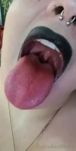 18246831