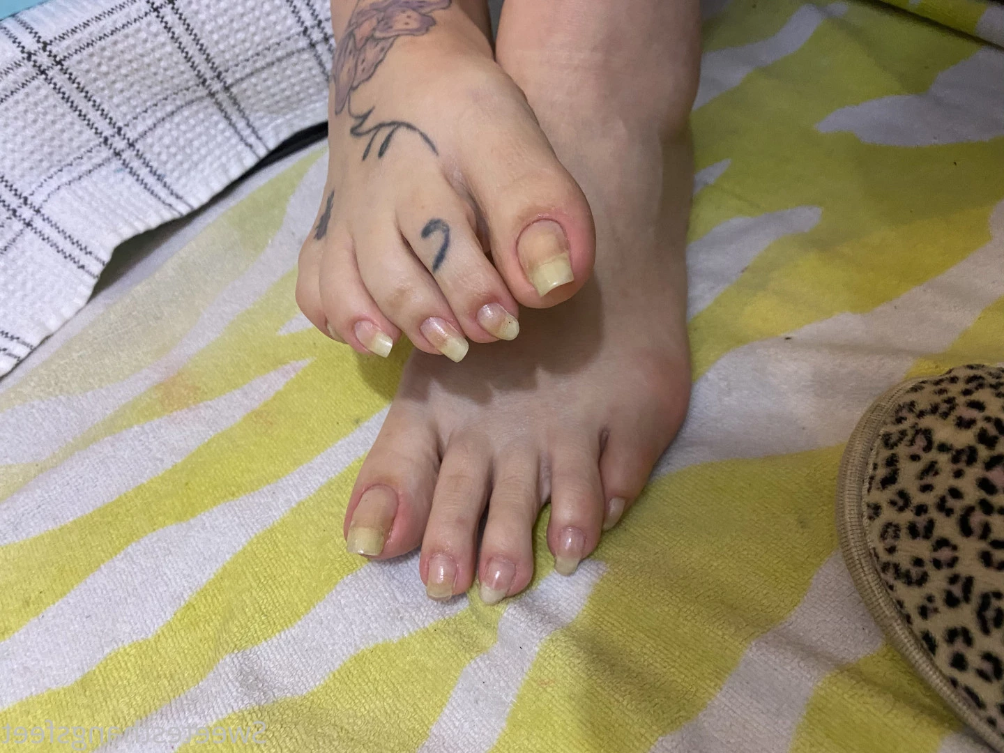 Goddess Rhonda [ sweetesthangsfeet ] Onlyfans leaked photo 7057981 on Hotleaks.tv