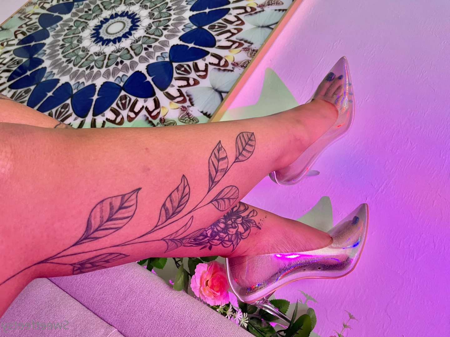 Sweetfeetsy VIP❀ Top 3.5% [ sweetfeetsy ] Onlyfans leaked photo 6995431 on Hotleaks.tv