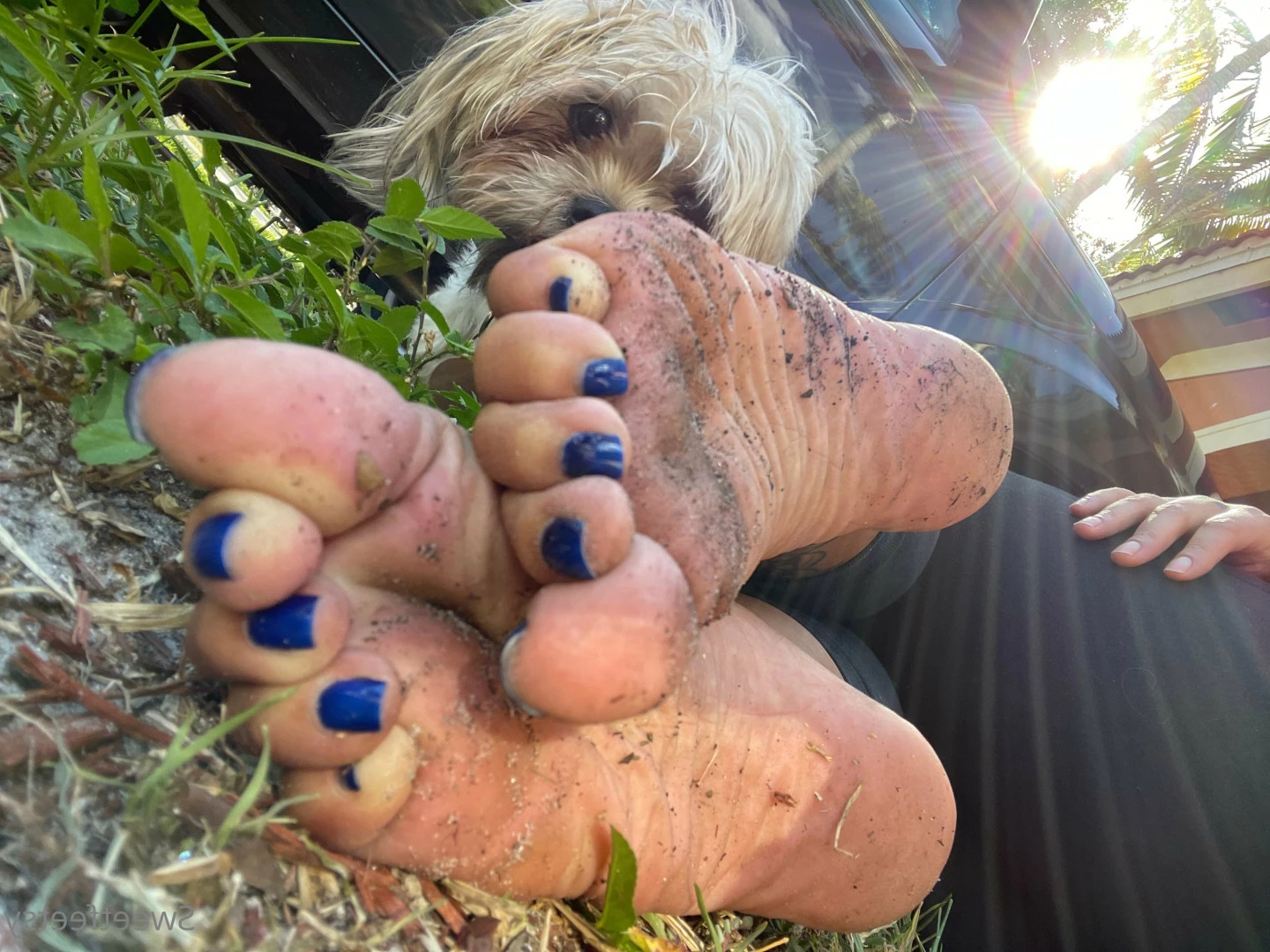 Sweetfeetsy VIP❀ Top 3.5% [ sweetfeetsy ] Onlyfans leaked photo 6998078 on Hotleaks.tv