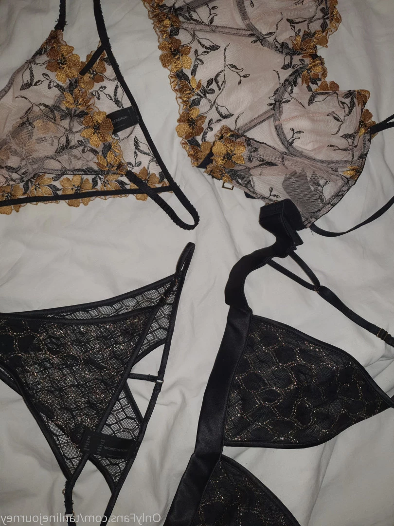 tanlinejourney Onlyfans leaked photo 7019365 on Hotleaks.tv