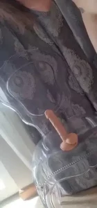 18246684