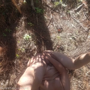 6632617