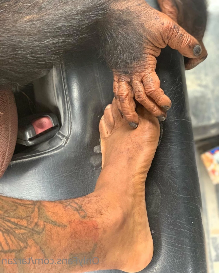 The Real Tarzann [ tarzan ] Onlyfans leaked photo 10483001 on Hotleaks.tv