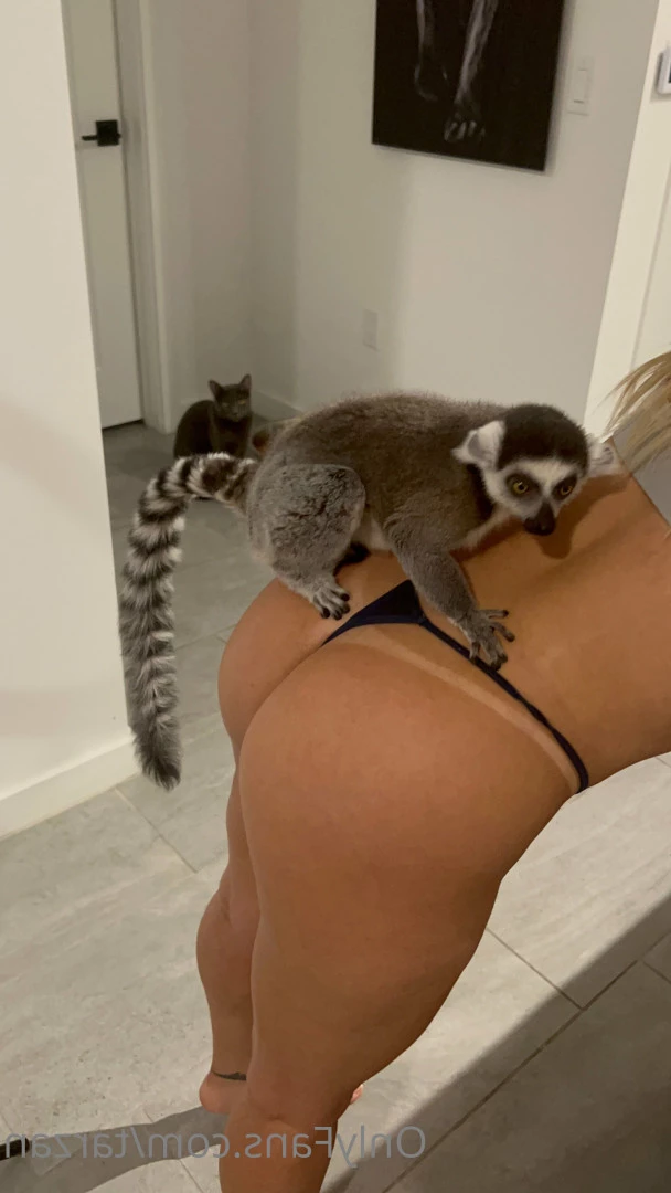The Real Tarzann [ tarzan ] Onlyfans leaked photo 10483404 on Hotleaks.tv