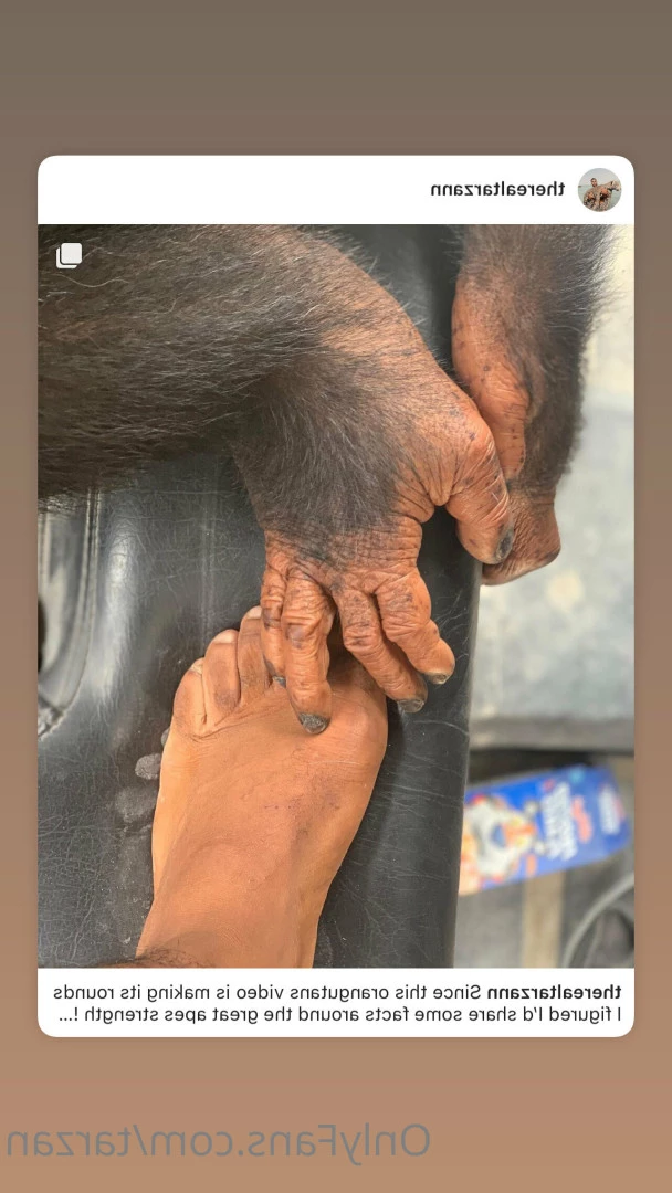 The Real Tarzann [ tarzan ] Onlyfans leaked photo 10483440 on Hotleaks.tv