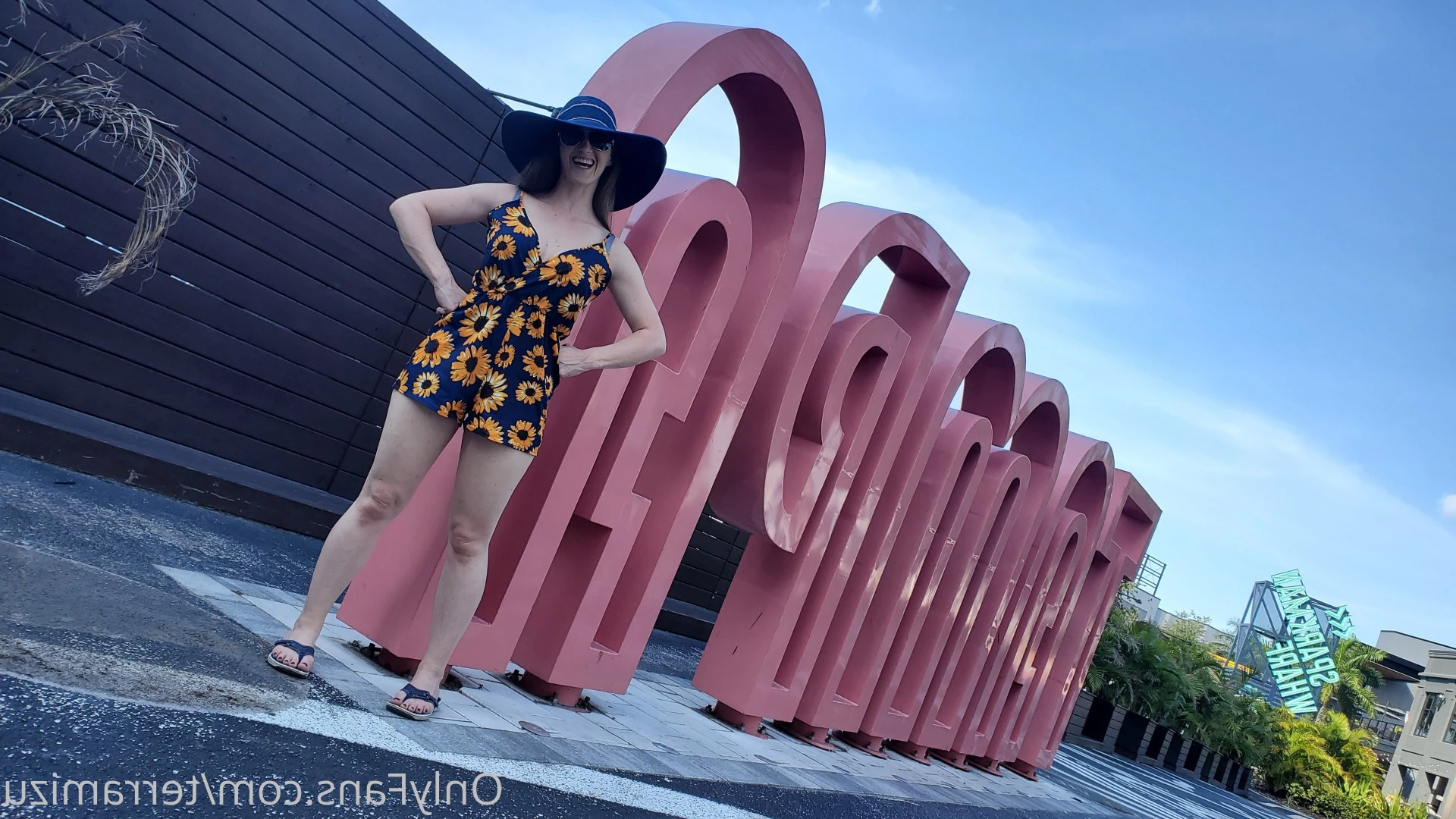 terramizu Onlyfans leaked photo 7127379 on Hotleaks.tv