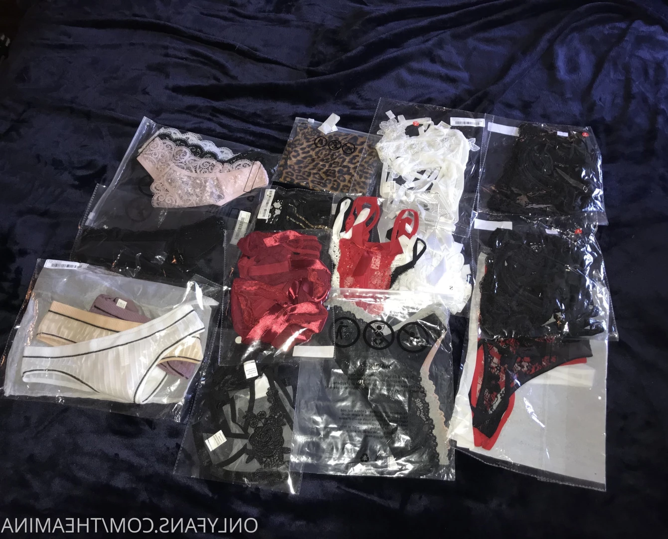 mina 💌 [ theamina ] Onlyfans leaked photo 6790285 on Hotleaks.tv