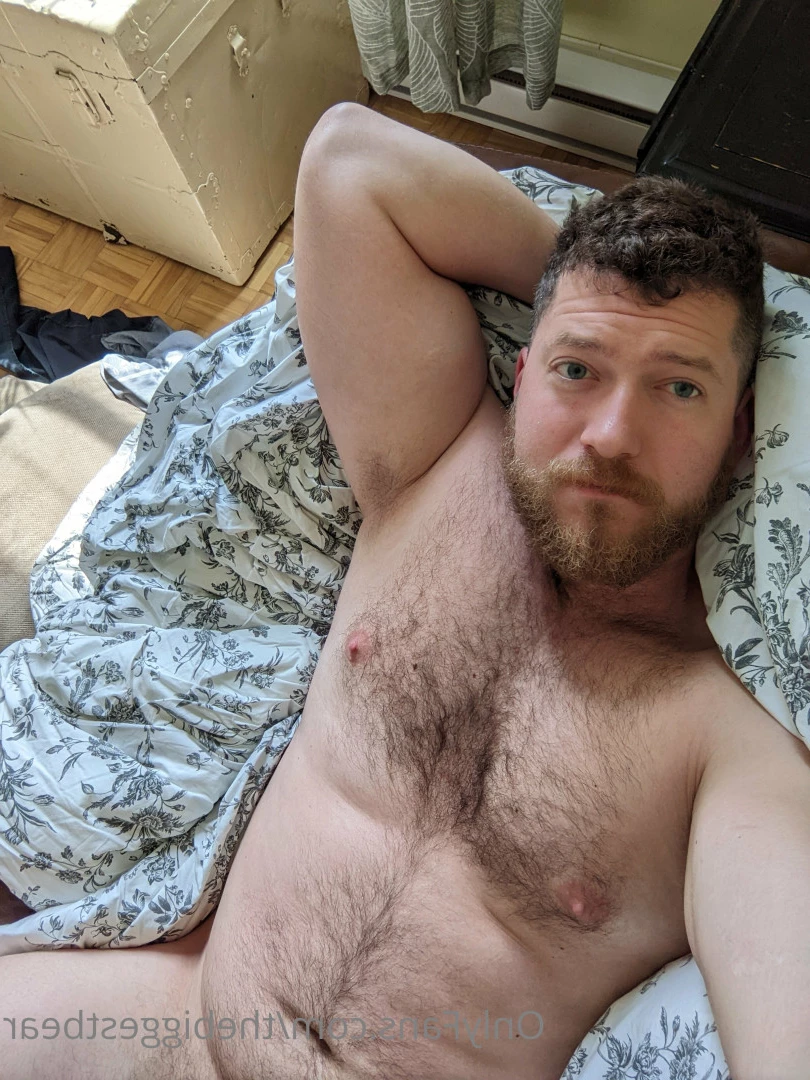 The Biggest Bear [ thebiggestbear ] Onlyfans leaked photo 6588570 on Hotleaks.tv