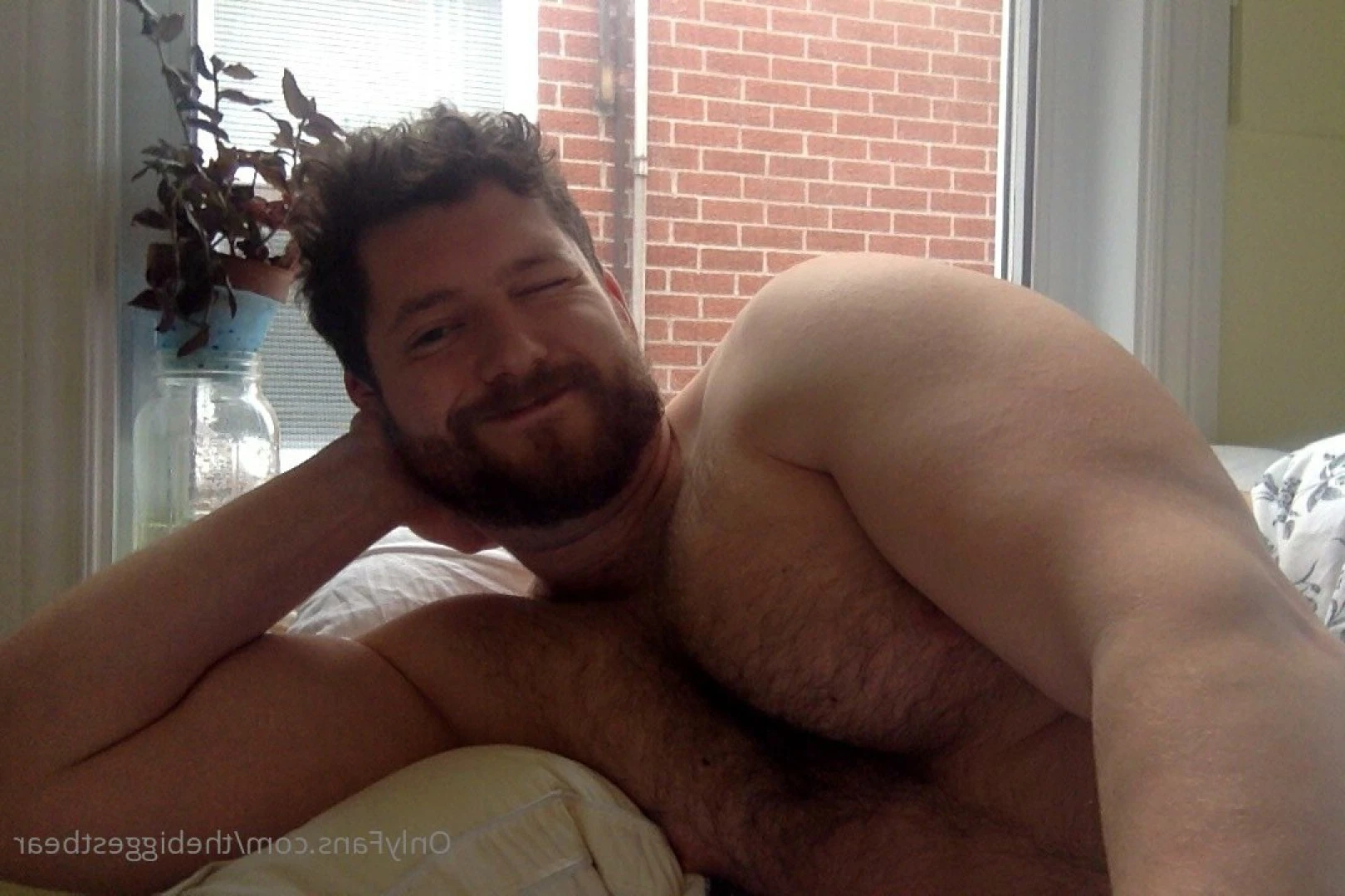 The Biggest Bear [ thebiggestbear ] Onlyfans leaked photo 6588653 on Hotleaks.tv