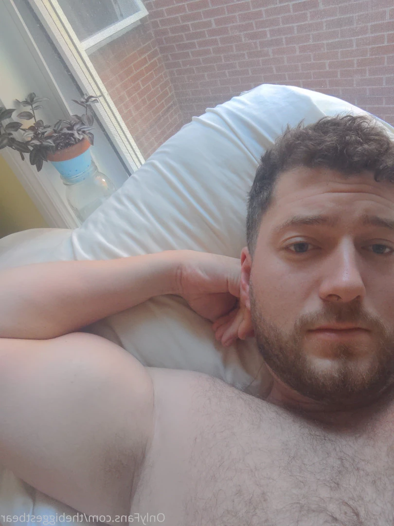 The Biggest Bear [ thebiggestbear ] Onlyfans leaked photo 6589100 on Hotleaks.tv
