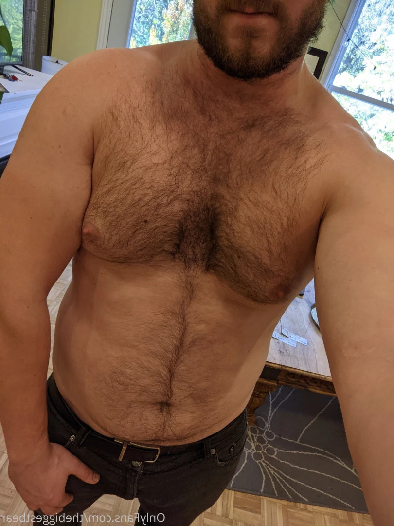 The Biggest Bear [ thebiggestbear ] Onlyfans leaked photo 6589157 on Hotleaks.tv