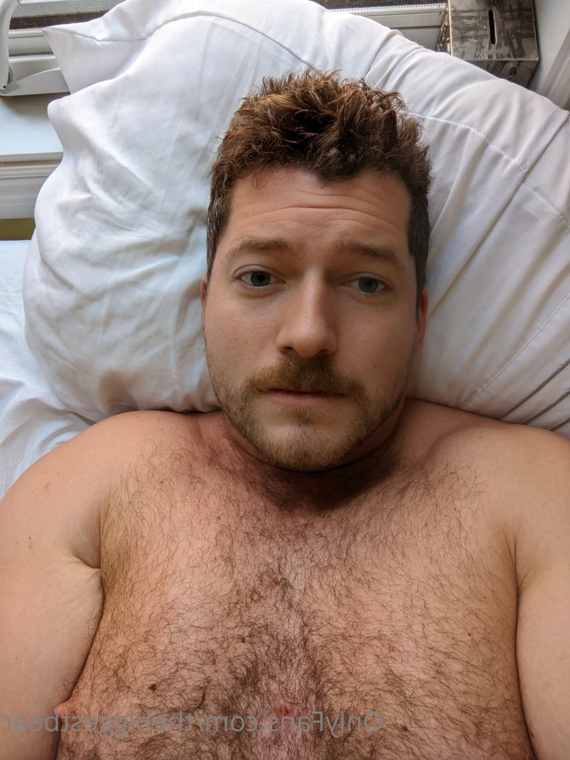 The Biggest Bear [ thebiggestbear ] Onlyfans leaked photo 6589173 on Hotleaks.tv