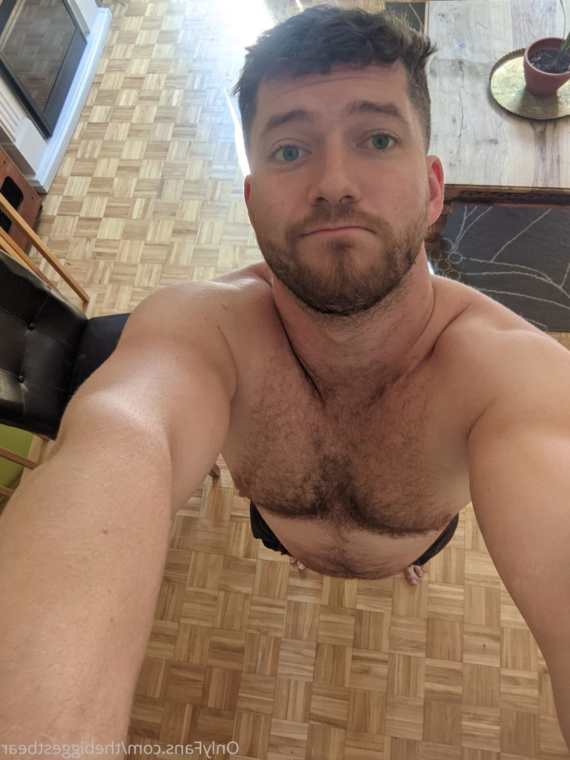 The Biggest Bear [ thebiggestbear ] Onlyfans leaked photo 6589721 on Hotleaks.tv