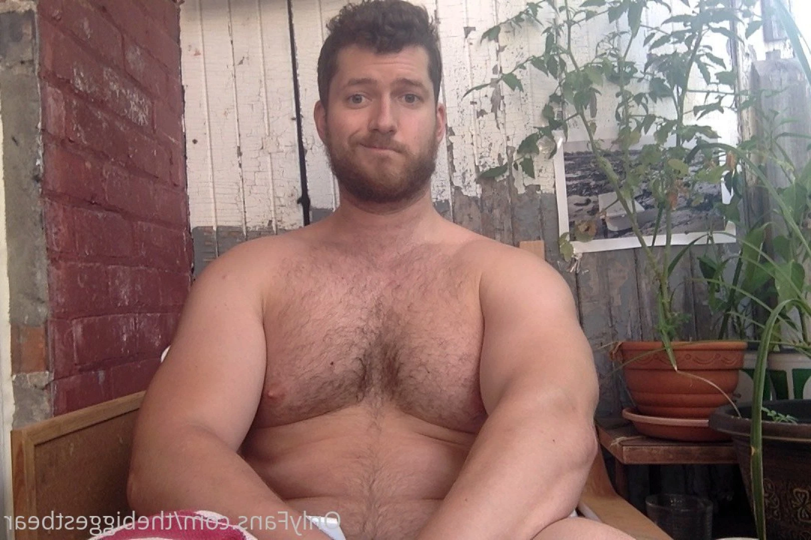 The Biggest Bear [ thebiggestbear ] Onlyfans leaked photo 6589979 on Hotleaks.tv