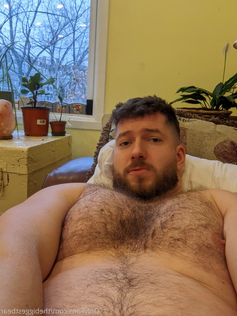 The Biggest Bear [ thebiggestbear ] Onlyfans leaked photo 6590058 on Hotleaks.tv